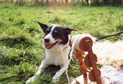 Foto: Lutz Bornemann