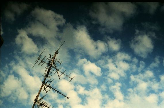 Foto: Lutz Bornemann