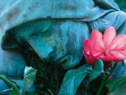 Engel mit Rose.