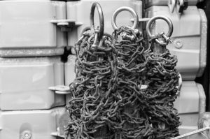 Foto: Bastian Hähling