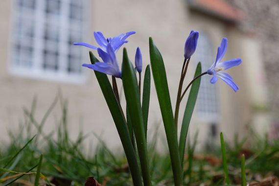 Foto: Bastian Hähling