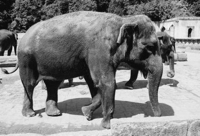 Foto: Bastian Hähling