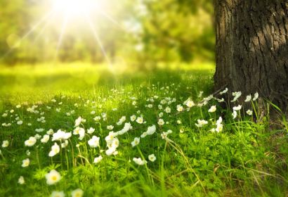 Foto: LarisaK auf Pixabay