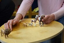 Symbolisiert durch Tierfiguren zeigt Miriam Temme, was Kinder getrennt lebender Eltern oft empfinden. Foto: Andrea Hesse
