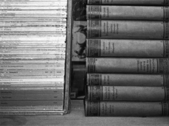 Foto: Lutz Bornemann (https://www.flickr.com/photos/lutzbornemannphotography)