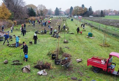 Emsiges Treiben herrscht beim Pflanztag auf dem Gelände des Ereignisbaum-Parks in Brelingen. Foto: Paul Bernstorf