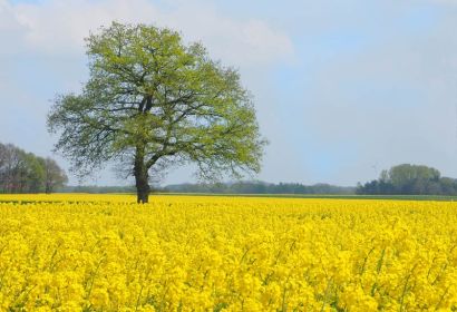 Foto: Uschi Dreiucker, pixelio.de