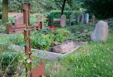 Die Kirchengemeinde St. Michaelis Bissendorf engagiert sich für mehr biologische Vielfalt auf ihrem Friedhof. Foto: Thorsten Buck