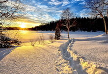 Weg durch tiefen Schnee, aufgehende Sonne, Bäume