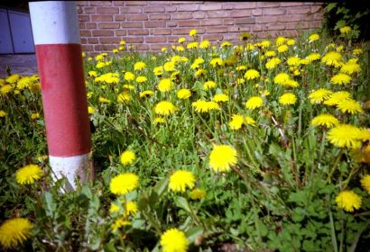 Foto: Lutz Bornemann