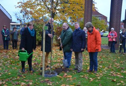 Von Pastor Joachim Schnell kam die Anregung, Mitglieder des Kirchenvorstandes pflanzten die junge Luther-Eiche (von links): Kerstin Rickert, Dr. Ulrich Spielmann, Bernhard Orlowski, Günter Depke und Inga Breitkopf. Foto: Andrea Hesse