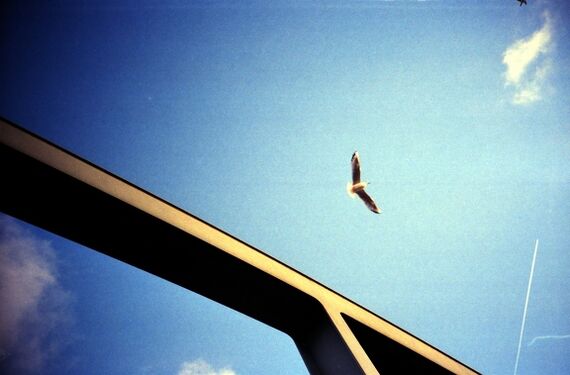 Foto: Lutz Bornemann