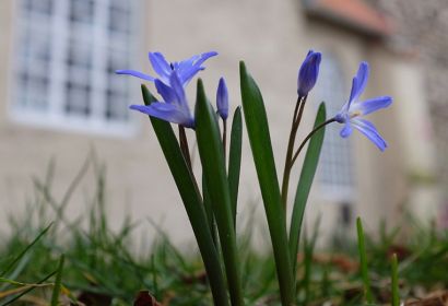 Foto: Bastian Hähling