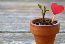 Foto: Silviarita auf Pixabay