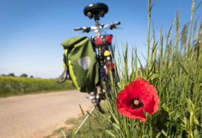 Foto: Thomas B. auf Pixabay