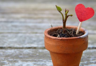 Foto: Silviarita auf Pixabay