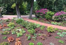 Im Rhododendron-Garten bietet die St.-Michaelis-Kirchengemeinde neue Bestattungsformen an.
