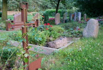 Die Kirchengemeinde St. Michaelis Bissendorf engagiert sich für mehr biologische Vielfalt auf ihrem Friedhof. Foto: Thorsten Buck