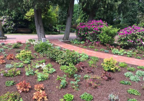 Im Rhododendron-Garten bietet die St.-Michaelis-Kirchengemeinde neue Bestattungsformen an.
