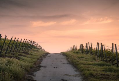 Foto: Pexels auf Pixabay