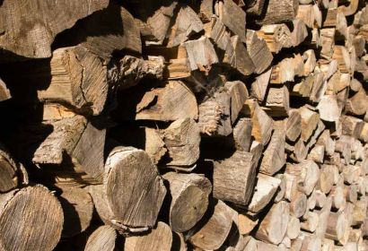 Foto: Bastian Hähling