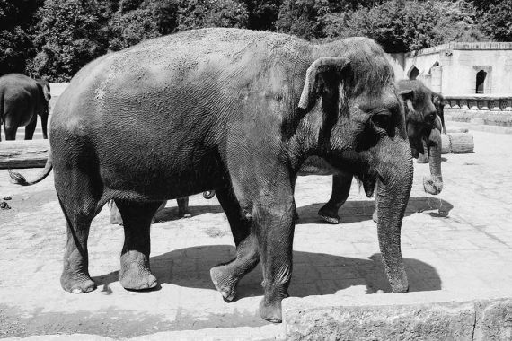 Foto: Bastian Hähling