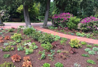 Im Rhododendron-Garten bietet die St.-Michaelis-Kirchengemeinde neue Bestattungsformen an.