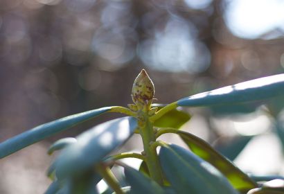 Foto: Bastian Hähling