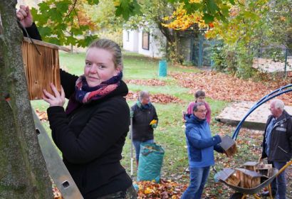 Bei einem Arbeitseinsatz der Gartengruppe im Oktober befestigte Kirchenvorsteherin Carolin Ratsch einen Nistkasten im St.-Paulus-Pfarrgarten. Foto: Sabine Dörfel